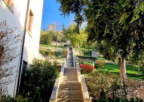 Soave_141047