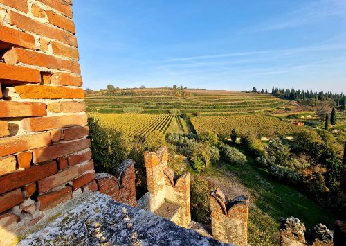 Soave_152528